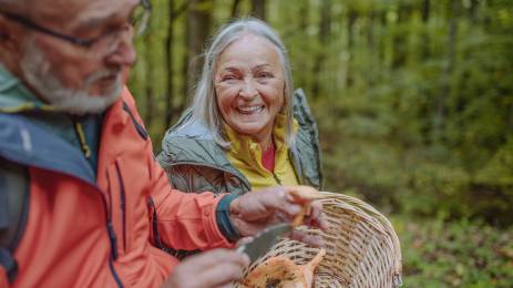 Mann og dame som plukker sopp i skogen 