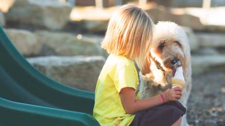Barn og hund spiser is