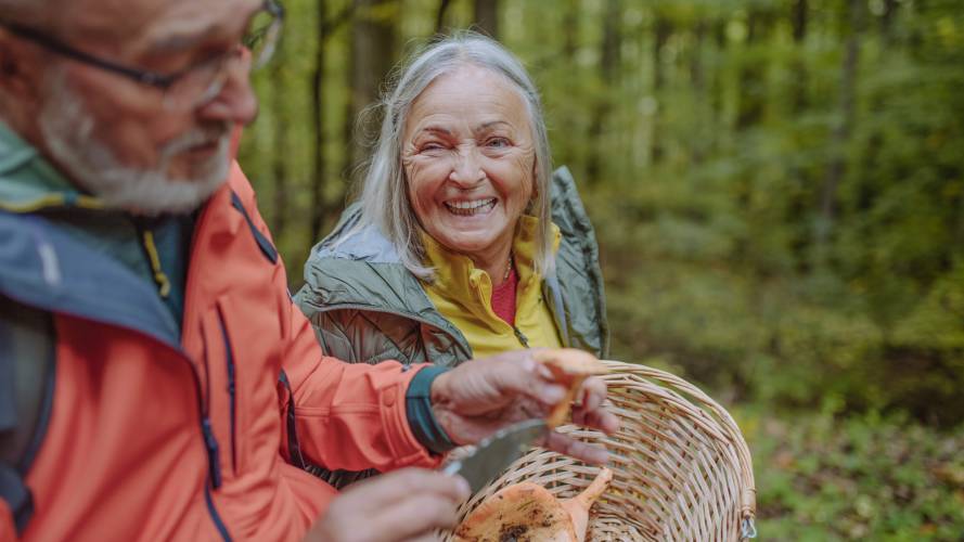 Mann og dame som plukker sopp i skogen 