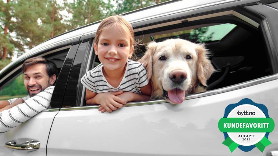 jente_med_hund_i_bil_kundefavoritt_aug
