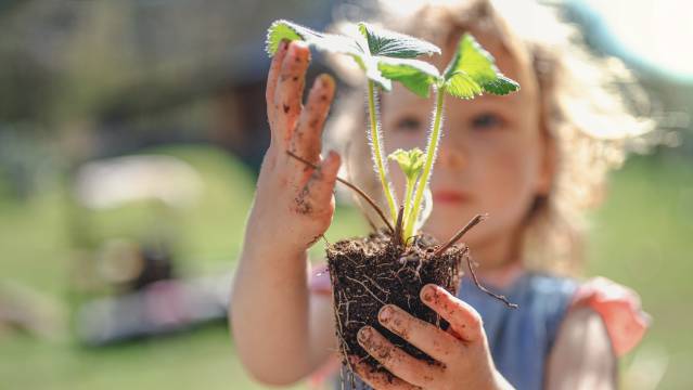 Jente som holder en plante i hendene