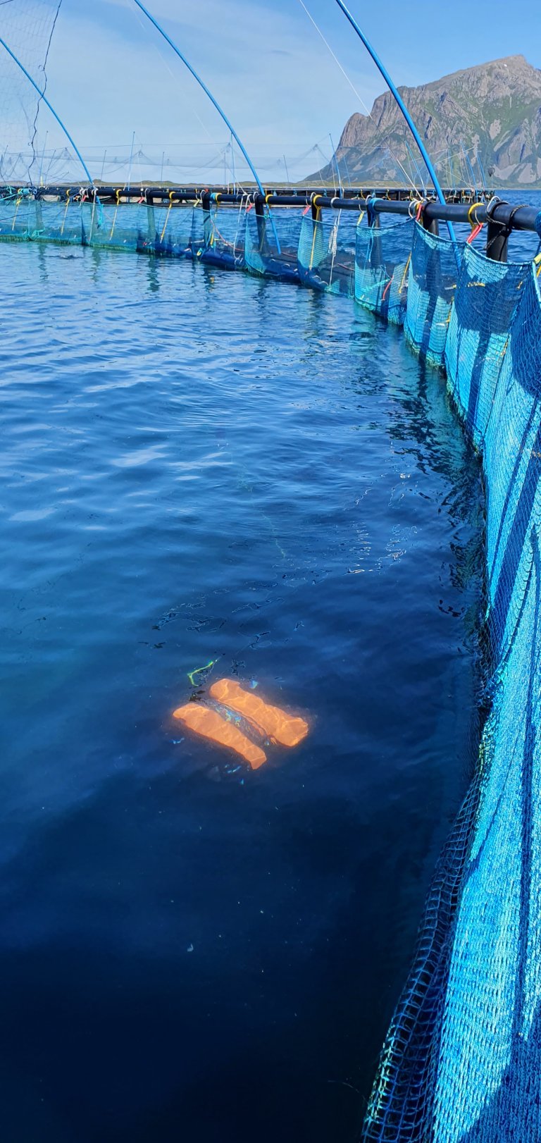 Bilde av mære for fiskeoppdrett